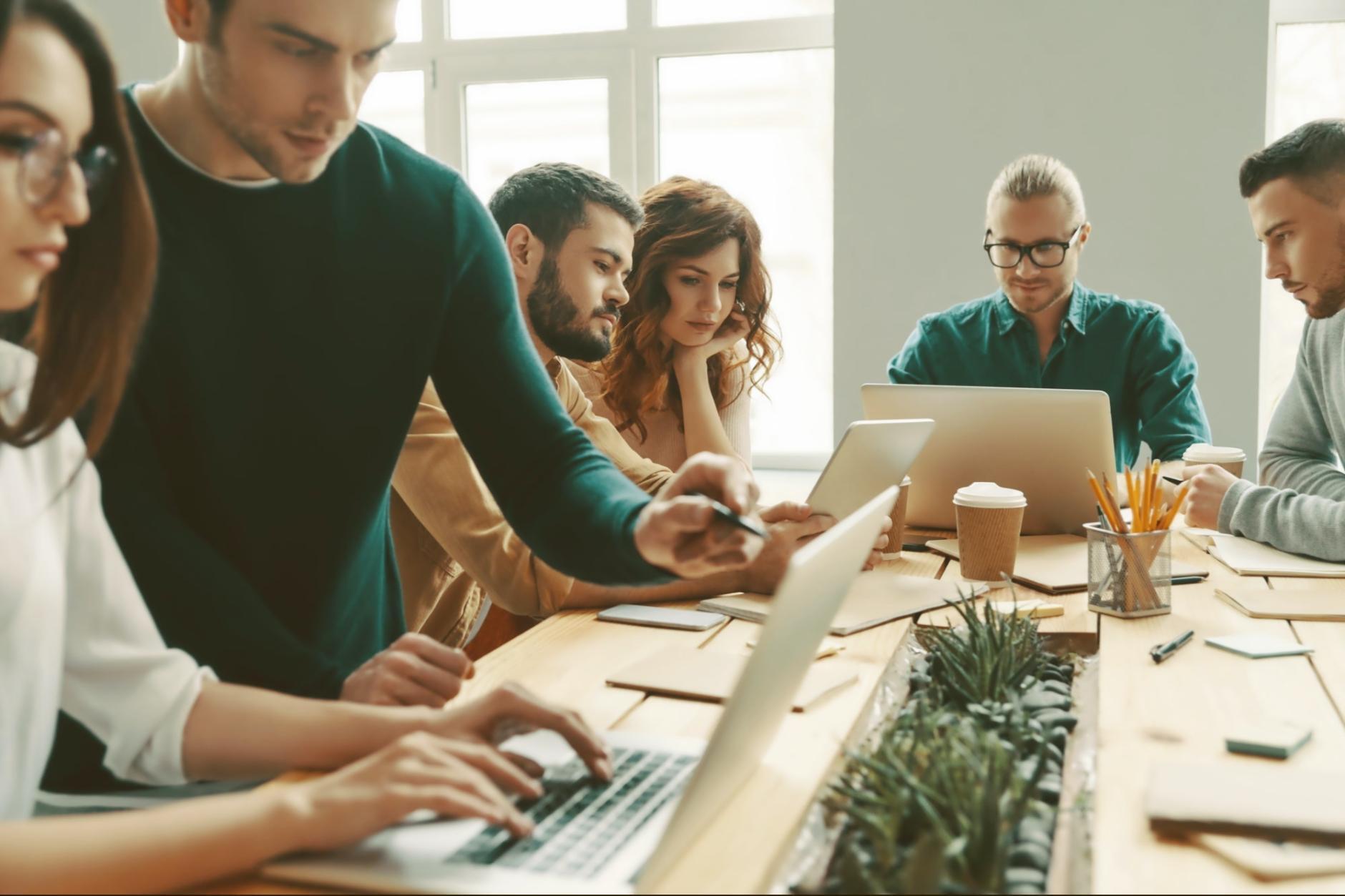 Участники программы обсуждают бизнес-идеи в рабочей обстановке